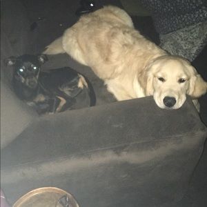 Meet your Posher, Michael